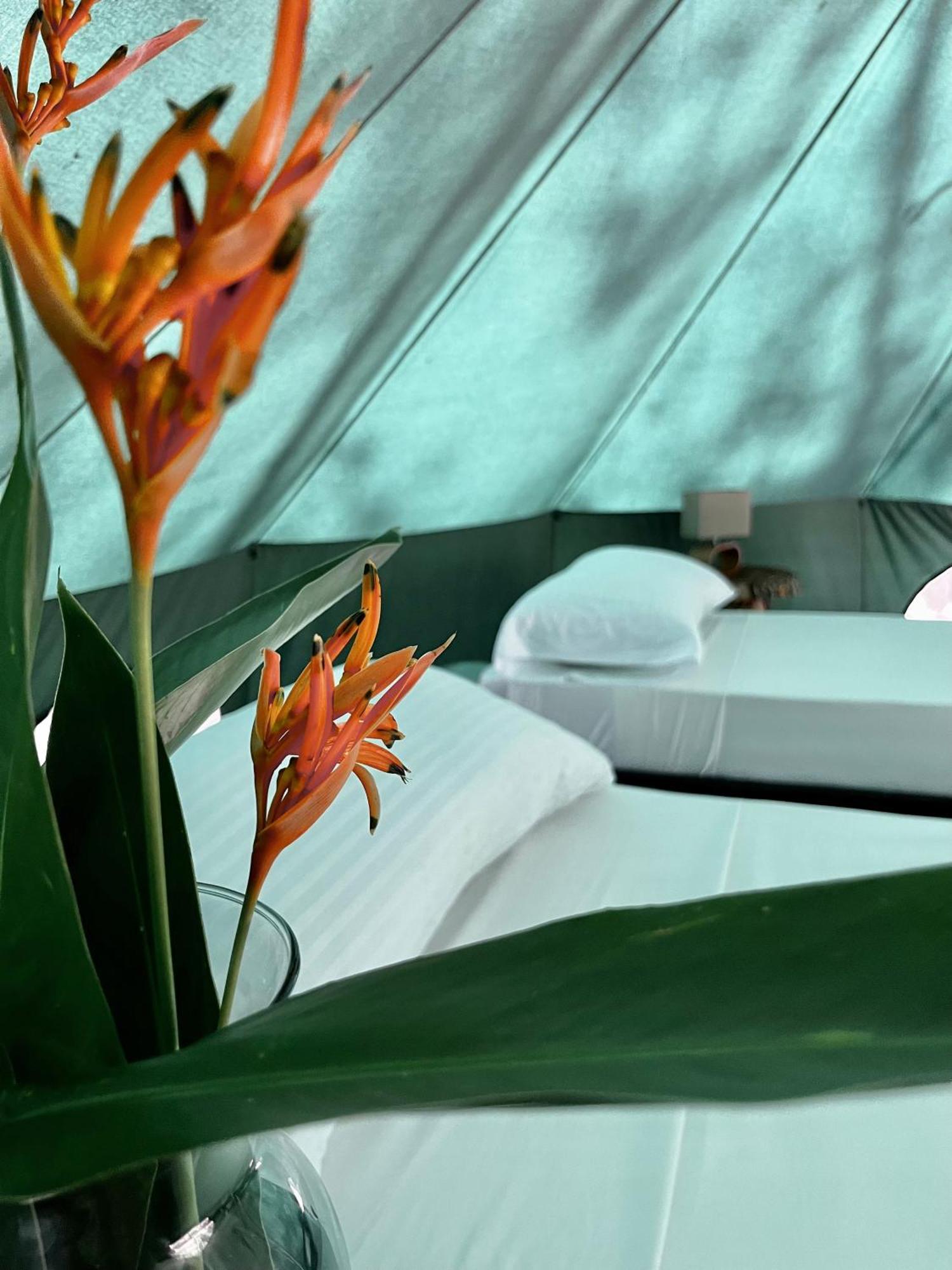 One Santuario Hotel Y Reserva Natural Palomino Kamer foto